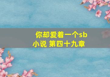 你却爱着一个sb小说 第四十九章